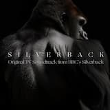Silverback (from "BBC's Silverback")