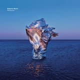 A Shell Immerse In The Dark