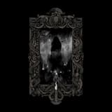 Transcendental Perception