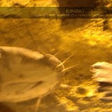 I Didn't Mean to Interrupt Your Beautiful Moment