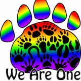 With You I Can Run Forever