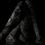 Light Aches Through a Black Maw