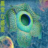 Aquatic Labrynthミスト