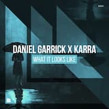 What It Looks Like (extended mix)