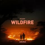 Wildfire