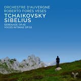 Serenade for Strings in C major, op. 48: Élégie