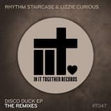 Disco Duck (Midnight City extended remix)