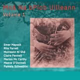 Seoithín Seo / Slip Jig 80b (slip jigs)