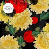 Grace (Kuniyuki Takahashi Remix - Alessio Pagliaroli Rework)