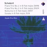 Piano Trio no. 1 op. 99 in B-flat major, D898: I. Allegro Moderato