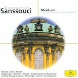 Flötenkonzert No.4 D-dur: 1. Allegro