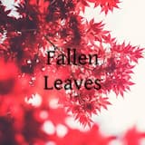 Fallen Leaves