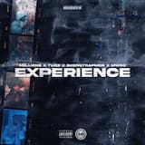 Experience