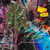 центральный парк