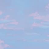 shepherdess - s.h.e.