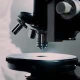 Discovery and Creation