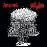 Skinning the Intoxicated Nun