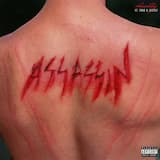 ASSASSIN