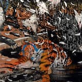 Champions of Unrestricted Beauty