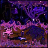 Eat Shiitake Mushrooms