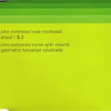 Geometric Horsehair Cavalcade