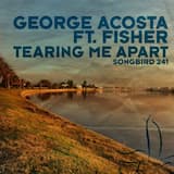 Tearing Me Apart (Original Mix)