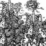 Basement Dwellers Envious of the Pulse Demon