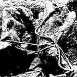 The Ideal Job For You Is Chartered Accountancy Pt. 1/The Big Cheese Gets His At Low Tide Tonight/I Hear The Gooseberries Are Doing Well This Year And So Are The Mangoes/The Larch/Promise You'll Tell Us About Pointed Sticks/How To Not Be Seen/Alright,We'll Call It A Draw/TIJFYICA Pt. 2