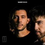 Forget About the Party