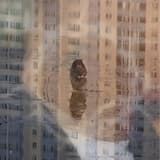 Acid & Wine (Bludgeon)