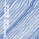 The Forest of Everything I