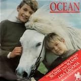 Ocean (Fast version)