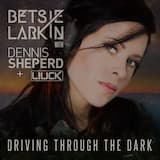 Driving Through the Dark (Dennis Sheperd extended club mix)