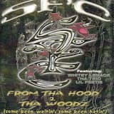 Capture tha Weapons (remix)