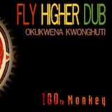 Fly Higher Dub (Dubsalon Remix)