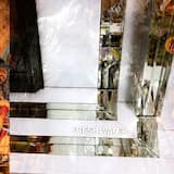 Transition Words ft. DJ Evil Sex