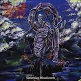 Descending From the Aurora