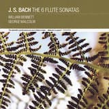 Sonata for Flute No.1 In B Minor, BWV 1030 - I. Andante