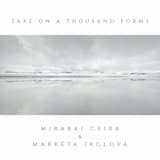 Take On a Thousand Forms