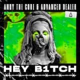 HEY B1TCH (extended mix)