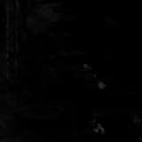 ___S__L___I___C__E____Ꮵ Ꮍ Ꮪ Ꭲ Ꮛ Ꮢ Ꮧ Q_____C___U----N----T----Z