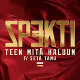 Teen mitä haluun
