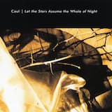 A Clear Eye Loves the Shadows as Well