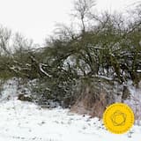 Concerto for Piano and Orchestra no. 2 in C minor, op. 18: I. Moderato