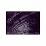 Landscape Remembered