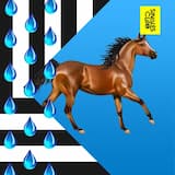 Bright As The Moon, But Darkened By The Drama