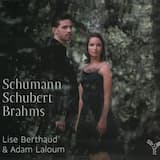 Märchenbilder pour alto et piano: Nicht schnell