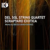 Bagatelles: I. Rough Math