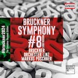 Symphony no. 8 in C minor, WAB 108: Allegro moderato