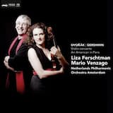 Violin concerto in a minor op. 53: I. Allegro ma non troppo-Quasi moderato